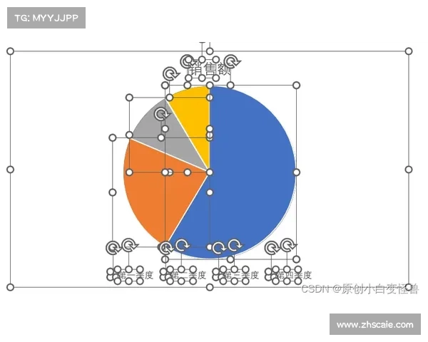 北美洲杯赛全面解析 从基础规则到赛场实战技巧详解